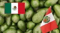 Productores mexicanos se muestran preocupados por la caída del aguacate en EE. UU. y la posición de la palta peruana en Europa: “Llega hasta España”
