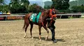 Resultados del 5y6 del 6 de julio en el Hipódromo La Rinconada: caballos ganadores y órdenes de llegada de todas las carreras