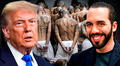 Gobierno de Trump tiene control total de los inmigrantes deportados de EEUU a la prisión de Bukele, según El Salvador