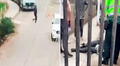 Policía dispara contra delincuente en SMP y le reclama: “Día a día salimos a combatir a lacras como tú”