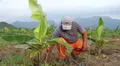 Olmos frente al cambio climático: Adaptación que nace desde la tierra