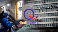 Qali Warma: Fiscalía confirma 36 meses de prisión preventiva para funcionarios que recibían coimas de Frigoinca