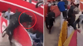 Caos en fiesta costumbrista: toro se escapa de ruedo y desata el pánico entre asistentes en Cajamarca