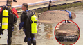 Hallan restos de un hombre desaparecido hace 15 años dentro de un auto sumergido en el mar en Estados Unidos