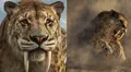 ¿El ser humano extinguió al tigre diente de sable? Científicos de Brasil descubren la verdadera causa de su desaparición