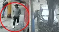Roban camioneta de veterinaria con un perrito adentro justo cuando iba a ser entregado a su dueño en El Agustino
