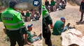 Madre en Junín fallece tras recibir una patada de una vaca mientras la ordeñaba: hijo la encontró en un canal de regadío