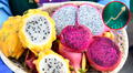 La pitahaya, nuevo producto estrella del Perú: exportaciones en 2025 superan 100 veces las de 2022