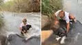 Streamer Shuls se lanza al río para salvar a su perrito que era arrastrado por la corriente: “Me hizo desesperar”