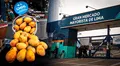 Gran Mercado Mayorista de Lima abastece alimentos con altos niveles de plaguicida prohibido desde el 2023