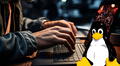 ¿Por qué la mascota de Linux es un pingüino? La curiosa anécdota detrás de su elección