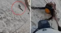 ¡De terror! Escalador graba el momento exacto en que su compañero cae mientras subía una cordillera en Perú