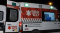 Un joven que intentaba salvar a su perro se electrocutó y murió tras caerle un horno encima en Argentina