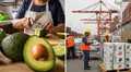 Perú conquista mercados internacionales gracias al 'oro verde' en 2025: exportaciones llegan a EE. UU. y Europa