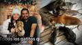 Pareja comparte su 'problema gatuno' y se ganan el corazón de los usuarios: "Ya conocí la envidia"