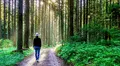 Científicos descubren que estar 20 minutos en el bosque contribuye a la reducción del estrés y al bienestar psicológico