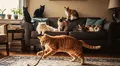 Especialista revela por qué los gatos naranjas suelen ser los más 'juguetones' entre todos los felinos