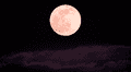 Calendario lunar agosto 2025: cuándo ver la luna llena y cuáles serán las fases lunares de este mes