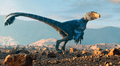 Científicos hicieron un experimento con pollos y logran que se parezcan en algo a los dinosaurios