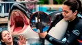 ¿Es real la historia de Jessica Radcliffe? La verdad detrás del video viral de su supuesta muerte tras ataque de una orca