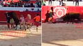 Payasito queda inconsciente tras ser embestido por una vaca durante show en Plaza de Toros de Huamachuco