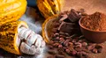 Estudio científico revela cuál es el verdadero origen del cacao en Sudamérica y como se expandió por el mundo