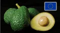 Palta peruana bajo lupa en la Unión Europea y Chile: detectan alto niveles de cadmio en exportaciones del "oro verde"