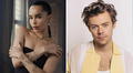 ¿Nuevo romance a la vista? Zoë Kravitz y Harry Styles avivan rumores de romance tras ser vistos paseando juntos por Roma