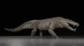 Paleontólogos descubren el fósil del 'cocodrilo feroz' más antiguo de Sudamérica: cazaba dinosaurios hace 70 millones de años