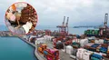 Exportaciones peruanas sumaron US$46.930 millones hasta julio 2025, con crecimiento de 17,1%