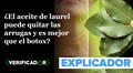 ¿El aceite de laurel puede quitar las arrugas y es más efectivo que el bótox?