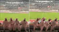 Hinchas se visten de chanchitos en el Estadio Nacional para apoyar al pan con chicharrón en el 'Mundial de desayunos'