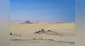 “Paracas. Silencio Habitado”: exposición que festeja los 50 años de Paracas como reserva nacional, en el museo Amano