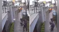 Repartidor lanza paquete con pañales dentro de casa al no encontrar a la dueña y video se vuelve viral: “Nunca se rindió”