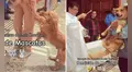 Perrito se resiste a ser rociado con agua bendita en ceremonia masiva de mascotas y redes estallan: "No quiero, mamá"