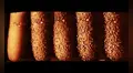 Científicos capturan las imágenes de un antibiótico perforando la armadura de unas bacterias en tiempo real