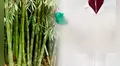 China quiere despedirse del plástico tradicional con una alternativa biodegradable y ultra resistente