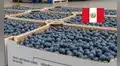 El 'oro azul' peruano llegará por primera vez a estos países de Asia: es el producto estrella de las exportaciones