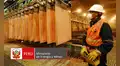 Este metal encabeza las exportaciones mineras peruanas en 2025: concentra el 30% del total y envíos superan los US14 millones, según Minem