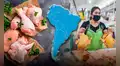 El país de América Latina que supera a Perú con mayor producción de carne de pollo: top 3 del mundo con EE.UU. y China