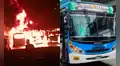 Incendian 5 buses de la empresa Pegasso Express en cochera de Puente Piedra: choferes suspenden operaciones