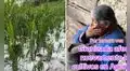 Adulta mayor rompe en llanto al ver cómo la granizada destruye su cultivo de maíz: "Así es la vida del agricultor"