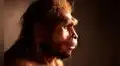 El homo erectus no fue la primera especie en abandonar África: unos fósiles replantean la historia humana