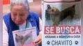 Adulta mayor invidente en Arequipa busca a ‘Chavito’, su perro que se perdió tras ser atropellado: “Si pudiera saldría a buscarlo”