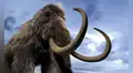 Científicos creyeron que eran huesos de mamut y los conservaron durante 70 años, pero resultaron ser de un animal completamente diferente