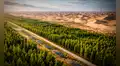 China extrae arena del desierto para crear un 'bosque' con paja y paneles solares que rieguen árboles: nueva muralla estaría lista en 2050