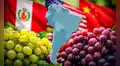 Este es el país de América Latina que supera a Perú y EE.UU. con la mayor producción de uvas en el mundo junto a China