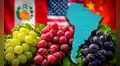 Este es el país de América Latina que supera a Perú y EE.UU. con la mayor producción de uvas en el mundo junto a China