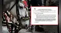 Municipalidad de Lima con días contados para cancelar uso de caballos para paseos en carruaje tras sentencia del Poder Judicial: funcionarios podrían ser denunciados
