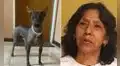 Tras la muerte de su hija embarazada en Egipto, madre peruana busca traer de vuelta a su mascota: "Es parte de nuestra vida"